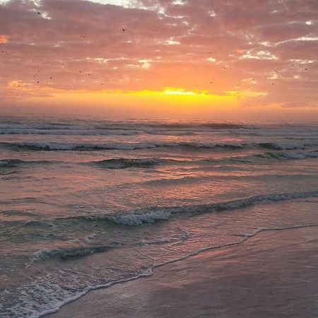 Siesta Key Condo - On The Water ! Bagian luar foto