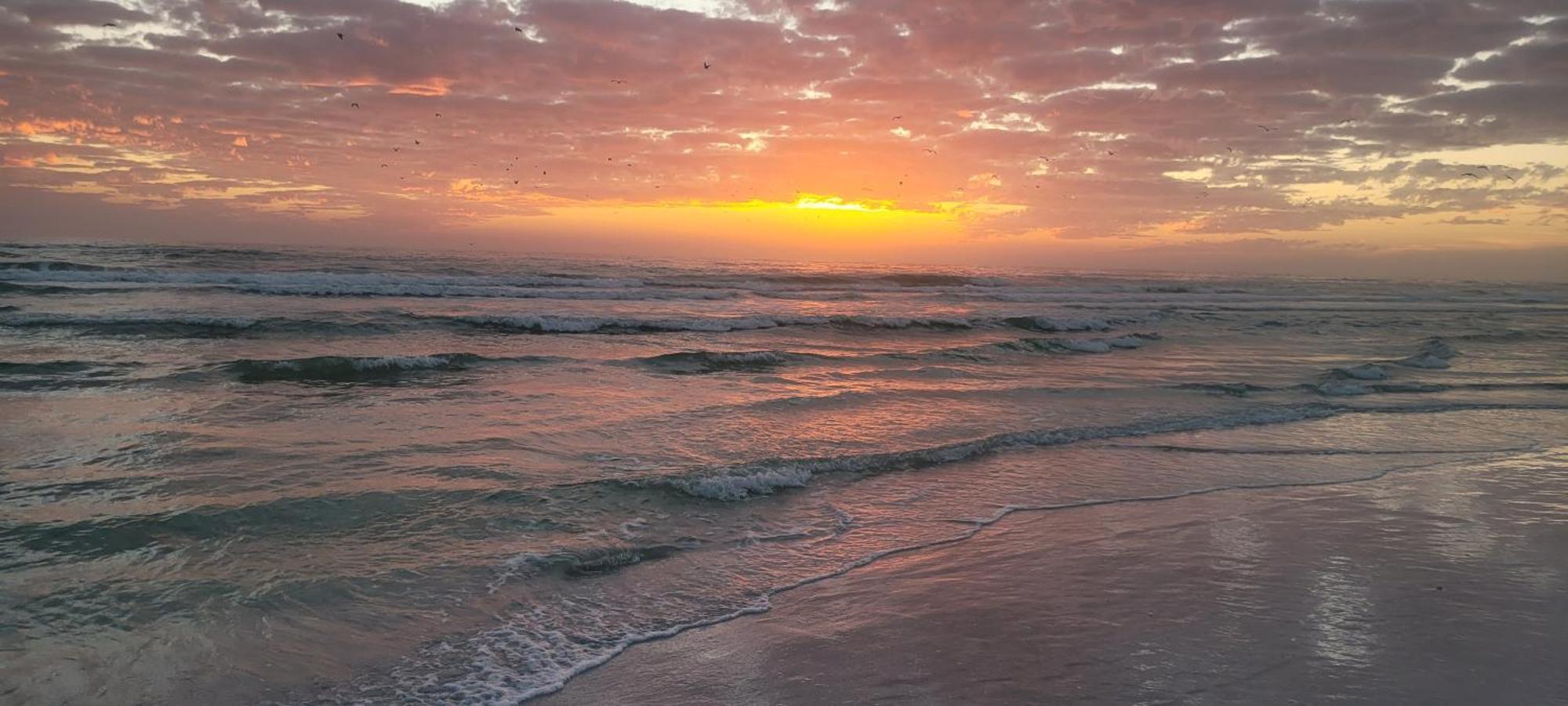 Siesta Key Condo - On The Water ! Bagian luar foto